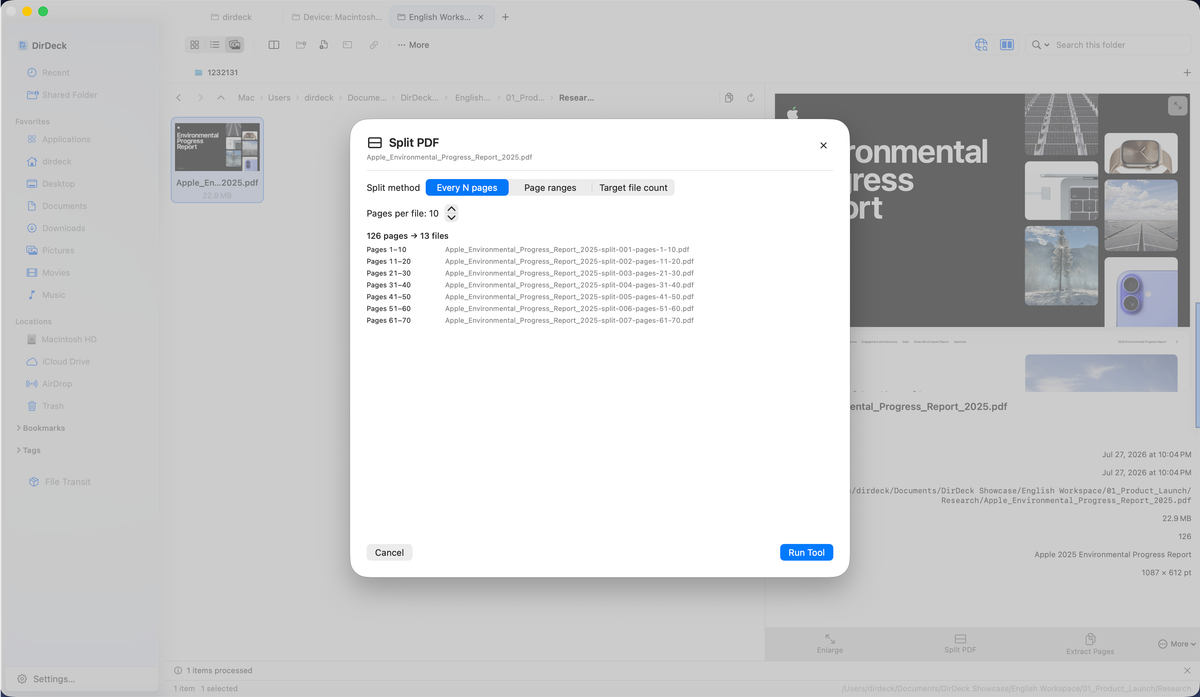 Setting page ranges and output options in the DirDeck PDF split tool