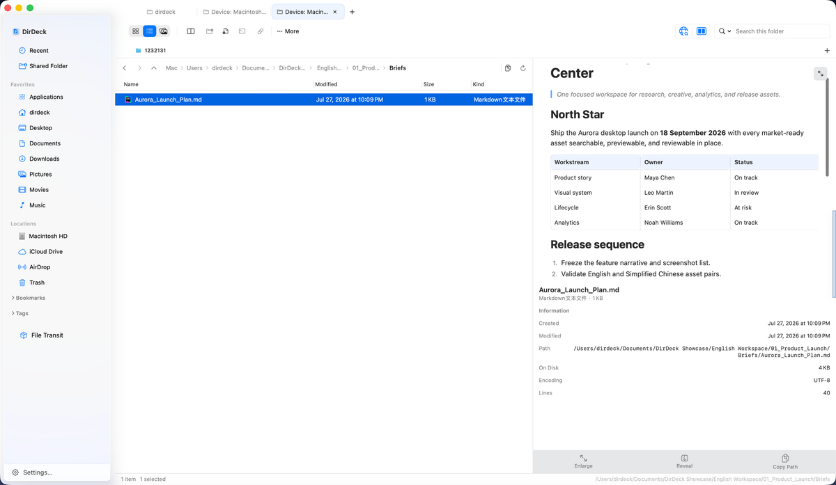 Previewing a Markdown document directly in the DirDeck side panel