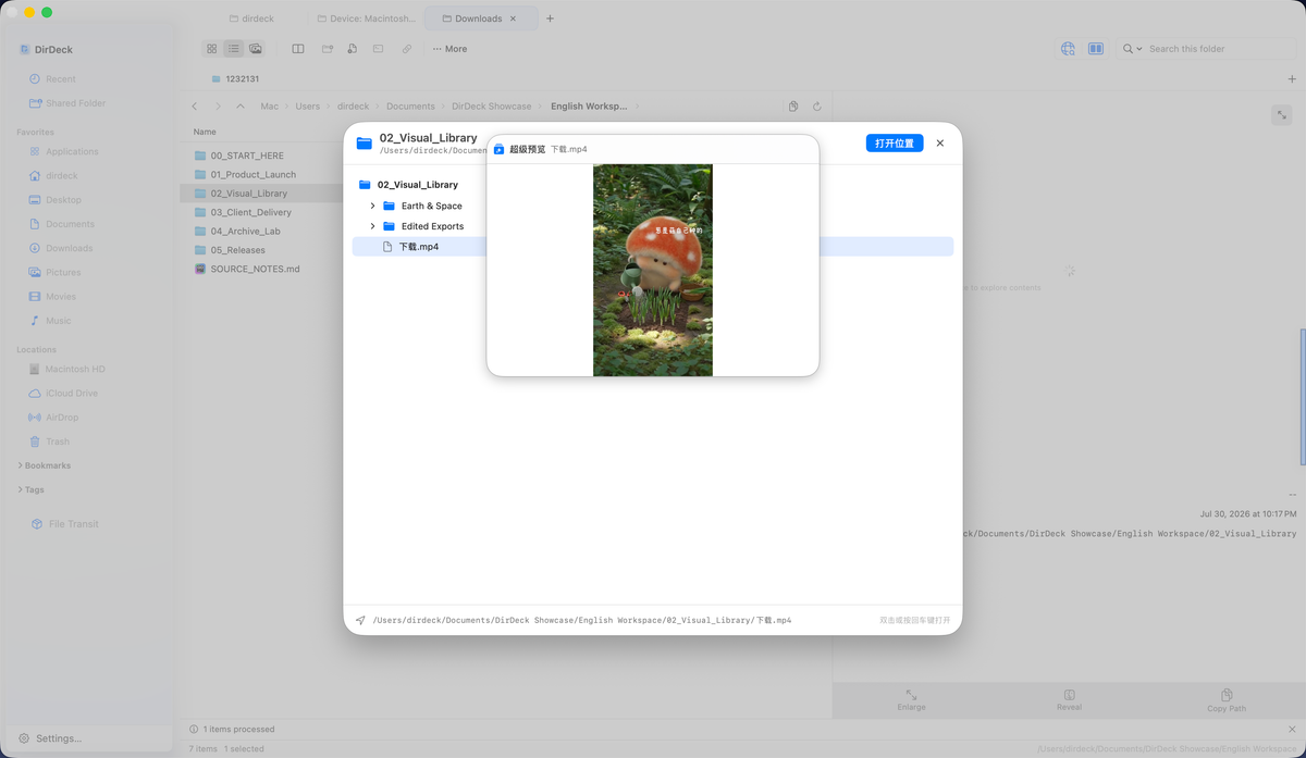 Playing a media file directly in DirDeck Super Preview