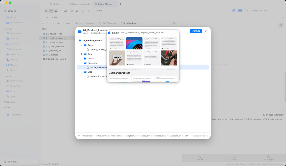 Viewing PDF thumbnails and pages in DirDeck Super Preview