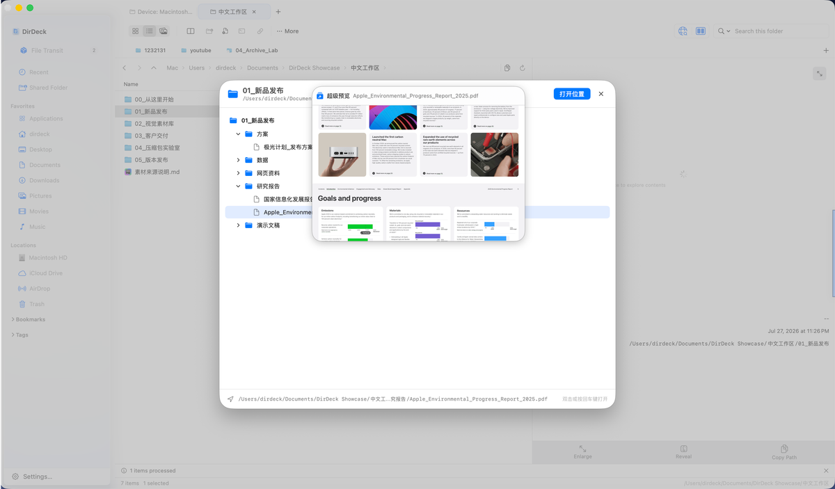 DirDeck 超级预览窗口中查看 PDF 页面缩略图与正文
